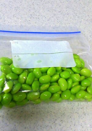 枝豆の冷凍保存でお料理が楽し♬コツ有り★-レシピのメイン写真