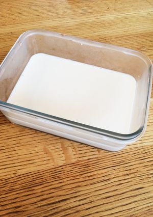 プルンプルン甘さひかえめ簡単ミルクプリン-レシピのメイン写真