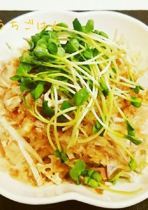 大根サラダ-レシピのメイン写真