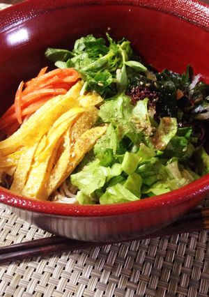 冷やして冷やして☆冷やしサラダ蕎麦〜-レシピのメイン写真