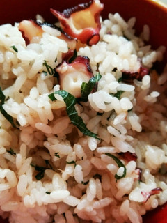 めんつゆ使用☆タコの混ぜご飯-レシピのメイン写真