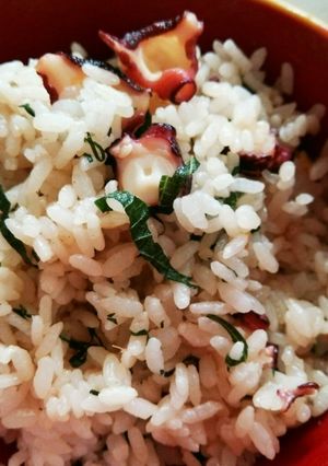 めんつゆ使用☆タコの混ぜご飯-レシピのメイン写真