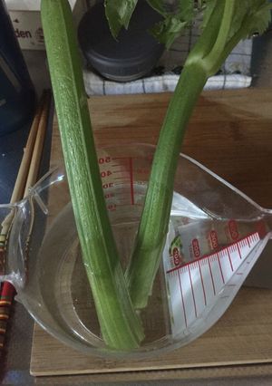 ぐったりアスパラやセロリの救済（≧∇≦）-レシピのメイン写真