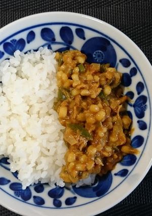 もち麦のドライカレー-レシピのメイン写真