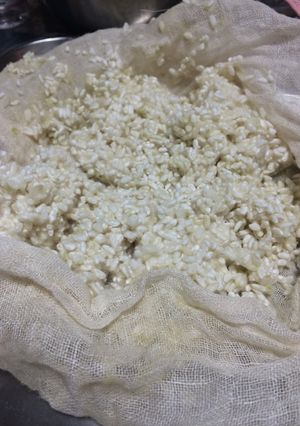 種麹から米麹〜ヨーグルティア使用☆-レシピのメイン写真