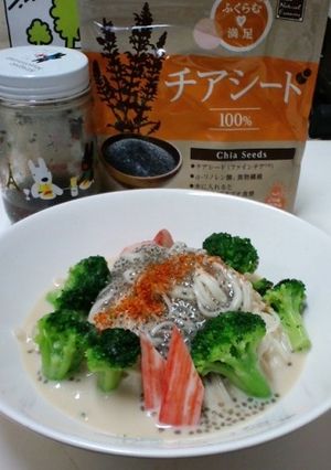 チアシードと豆乳そうめん-レシピのメイン写真