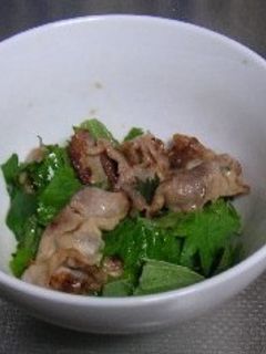 美味しい豚バラ肉と大葉のさっぱりサラダ-レシピのメイン写真