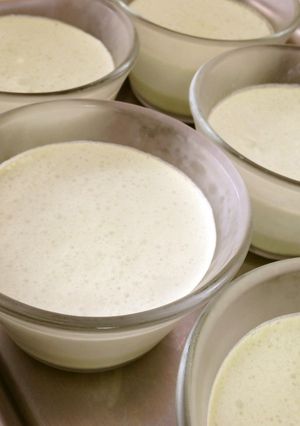 ふんわりとろける抹茶のムース-レシピのメイン写真