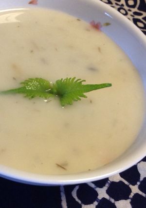 重ね煮 ビシソワーズ-レシピのメイン写真