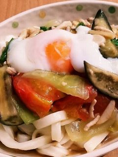 ◎なすのさっぱり冷やしうどん◎-レシピのメイン写真