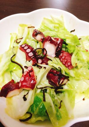 さっと作れる！キャベツとタコの塩昆布和え-レシピのメイン写真