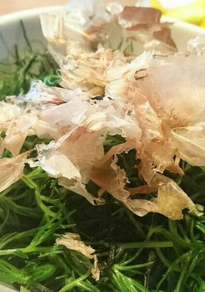 おかひじき昆布サラダ-レシピのメイン写真