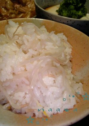 もやしご飯-レシピのメイン写真