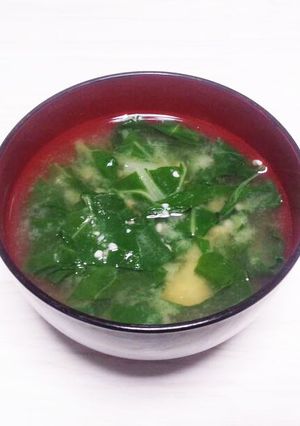 不断草のお味噌汁☆煮干しダシが美味しい-レシピのメイン写真