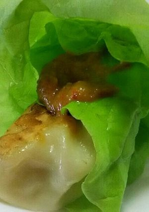 チシャ巻き餃子-レシピのメイン写真