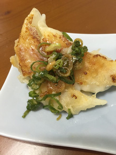 ネギ油餃子-レシピのメイン写真