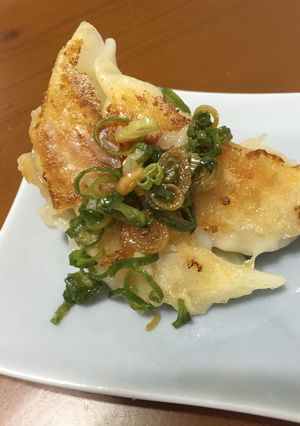 ネギ油餃子-レシピのメイン写真