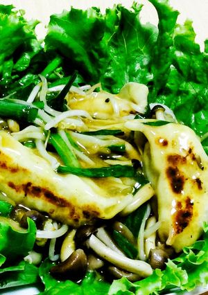 餃子と野菜のカレーあんかけ-レシピのメイン写真