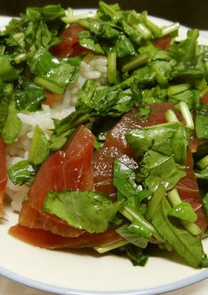 めんつゆ漬けマグロ＋ルッコラ丼-レシピのメイン写真