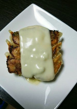 ゆず胡椒×チーズ餃子-レシピのメイン写真