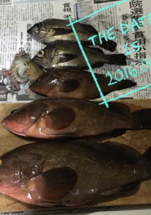 アコウ（キジハタ）、魚のアラの味噌汁-レシピのメイン写真