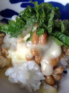 夕食の残りで!鳥そぼろと納豆のご飯-レシピのメイン写真