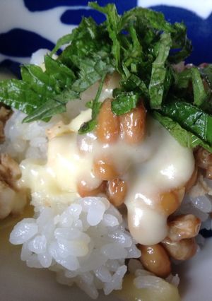 夕食の残りで!鳥そぼろと納豆のご飯-レシピのメイン写真