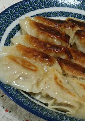 羽つき！ おからギョーザ-レシピのメイン写真