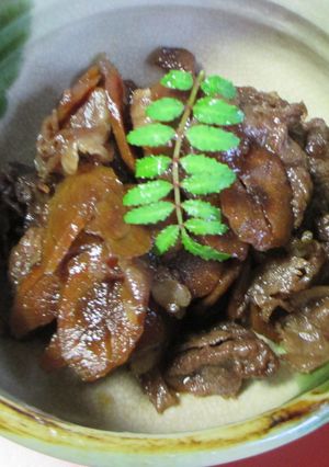 牛肉ごぼう茶-レシピのメイン写真