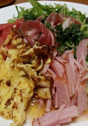 低糖質冷やし中華-レシピのメイン写真