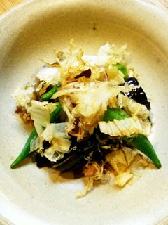 揚げ茄子とオクラの煮びたし風-レシピのメイン写真