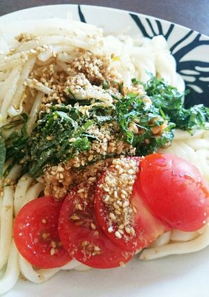超簡単！安くて！おいしい！冷やしうどん☆-レシピのメイン写真