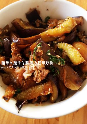 簡単＊茄子と豚肉の甘辛炒め-レシピのメイン写真