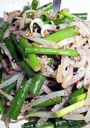 すっぱ辛っもやしと葱の和え物-レシピのメイン写真