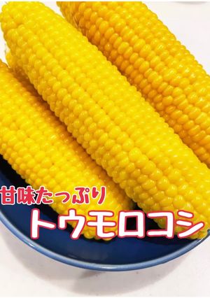 甘味を感じるトウモロコシ-レシピのメイン写真