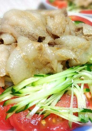 冷しゃぶうどん-レシピのメイン写真