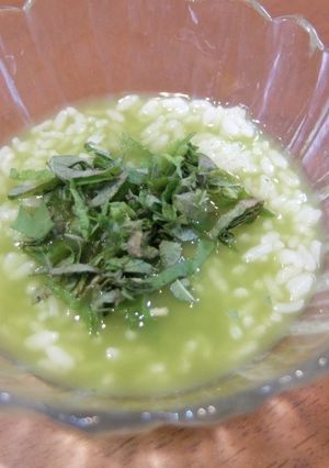 シソと昆布茶の緑茶冷やし茶漬け-レシピのメイン写真