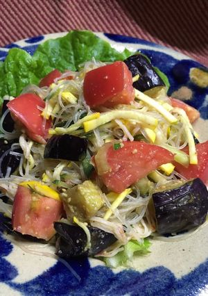 【京都丹波】揚げなすと夏野菜の春雨サラダ-レシピのメイン写真