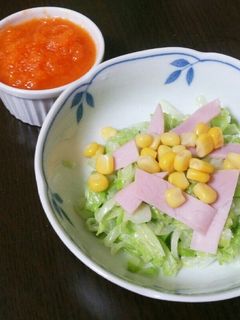 作置きコールスロー用シャキシャキキャベツ-レシピのメイン写真