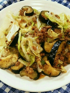 ナスとキャベツの挽き肉炒め-レシピのメイン写真