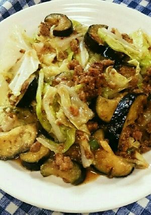 ナスとキャベツの挽き肉炒め-レシピのメイン写真
