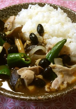 【京都丹波】黒豆入・農家の夏野菜カレー-レシピのメイン写真