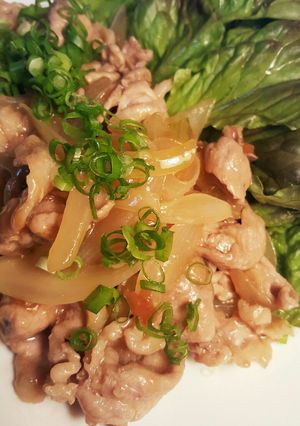 夏向き♪ダブル梅で豚肉の生姜焼き-レシピのメイン写真