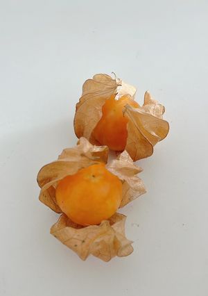 タイフルーツ✳︎ほうずき✳︎食べ方-レシピのメイン写真