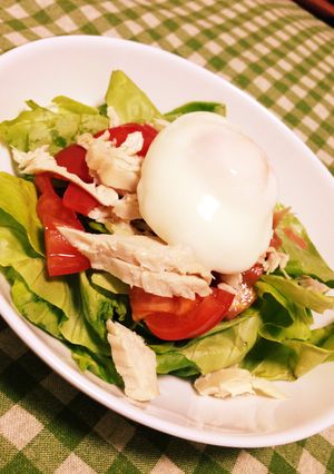 ダイエットに！栄養たっぷりサラダ-レシピのメイン写真
