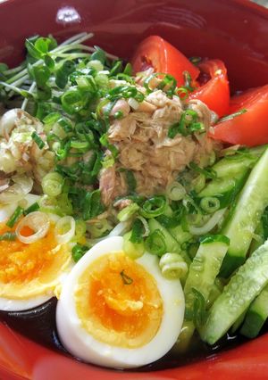 ぶっかけ冷麦-レシピのメイン写真