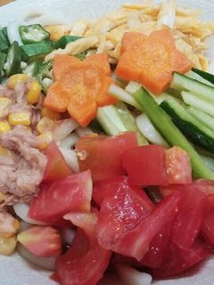 簡単❤冷やしうどん-レシピのメイン写真