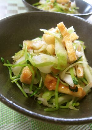 豆苗とキャベツの梅おかかサラダ-レシピのメイン写真