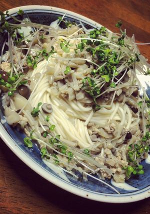 きのこを食べる、鶏だしそうめん-レシピのメイン写真
