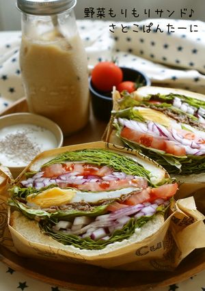 薄切り肉の野菜もりもりサンド♪-レシピのメイン写真